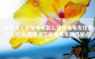 跑跑卡丁车龟龟车怎么获得龟龟车任务怎么完成(跑跑卡丁车龟龟车属性加点)