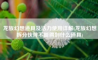 龙族幻想道具及活力使用详解(龙族幻想拆分伙伴不能得到什么道具)