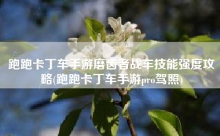 跑跑卡丁车手游磨齿者战车技能强度攻略(跑跑卡丁车手游pro驾照)