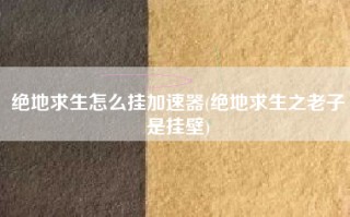 绝地求生怎么挂加速器(绝地求生之老子是挂壁)