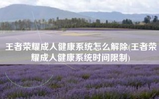 王者荣耀成人健康系统怎么解除(王者荣耀成人健康系统时间限制)