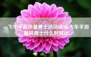 qq飞车手游风暴勇士活动链接,飞车手游暴风勇士什么时候出