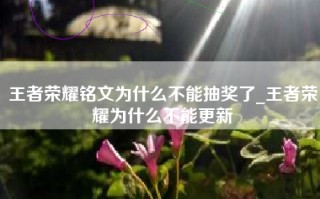王者荣耀铭文为什么不能抽奖了_王者荣耀为什么不能更新