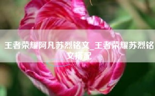 王者荣耀阿凡苏烈铭文_王者荣耀苏烈铭文搭配