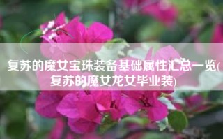 复苏的魔女宝珠装备基础属性汇总一览(复苏的魔女龙女毕业装)