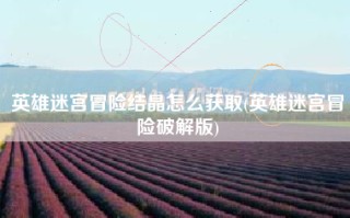 英雄迷宫冒险结晶怎么获取(英雄迷宫冒险破解版)