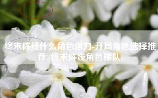 终末阵线什么角色强力-开局角色选择推荐!(终末阵线角色梯队)