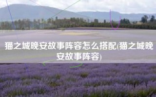 猫之城晚安故事阵容怎么搭配(猫之城晚安故事阵容)