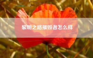 黎明之路摧毁者怎么样