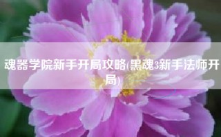 魂器学院新手开局攻略(黑魂3新手法师开局)