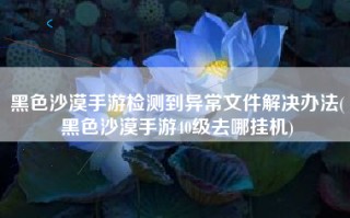 黑色沙漠手游检测到异常文件解决办法(黑色沙漠手游40级去哪挂机)