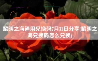 黎明之海通用兑换码7月31日分享(黎明之海兑换码怎么兑换)