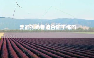 爱都孙尚香适合新手练吗