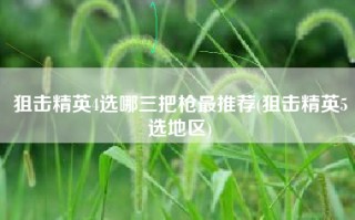 狙击精英4选哪三把枪最推荐(狙击精英5选地区)