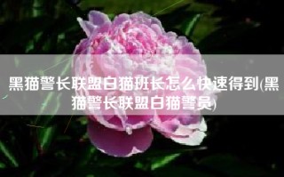 黑猫警长联盟白猫班长怎么快速得到(黑猫警长联盟白猫警员)