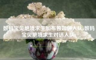 数码宝贝绝境求生加布兽如何入队(数码宝贝绝境求生对话入队)