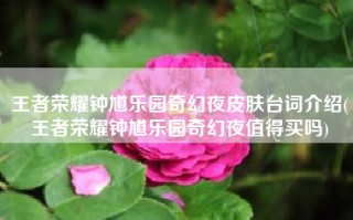 王者荣耀钟馗乐园奇幻夜皮肤台词介绍(王者荣耀钟馗乐园奇幻夜值得买吗)