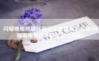 闪耀暖暖熊猫环游记完美搭配怎么搭(闪耀暖暖熊猫环游记怎么搭配)