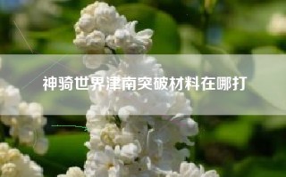 神骑世界津南突破材料在哪打