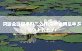 荣耀全明星手游怎么样(荣耀全明星手游怎么下载不了)