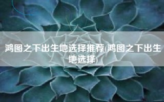 鸿图之下出生地选择推荐(鸿图之下出生地选择)