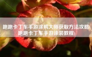 跑跑卡丁车手游涂鸭大师获取方法攻略(跑跑卡丁车手游涂装教程)