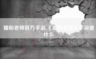 猫和老师官方手游,《猫和老鼠》手游是什么