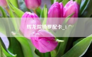 辉龙院绮罗配卡_1
