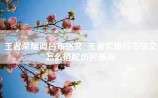 王者荣耀调吕布铭文_王者荣耀吕布铭文怎么搭配伤害最高