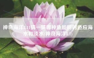 神奇海洋8.11猜一猜哪种鱼能同时适应海水和淡水(神奇海洋8.1)