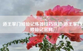 道王掌门修仙记炼器技巧攻略(道王掌门修仙记官网)