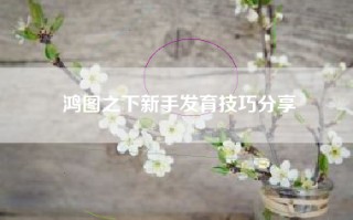 鸿图之下新手发育技巧分享