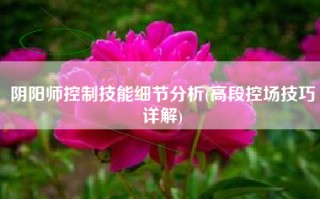 阴阳师控制技能细节分析(高段控场技巧详解)