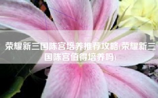 荣耀新三国陈宫培养推荐攻略(荣耀新三国陈宫值得培养吗)