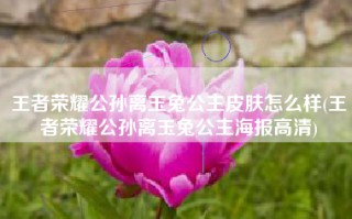 王者荣耀公孙离玉兔公主皮肤怎么样(王者荣耀公孙离玉兔公主海报高清)