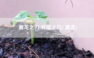 翼龙之刃(异度之刃2 翼龙)