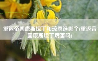 重返帝国康斯坦丁和琼恩选哪个(重返帝国康斯坦丁厉害吗)