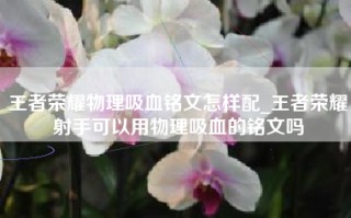 王者荣耀物理吸血铭文怎样配_王者荣耀射手可以用物理吸血的铭文吗