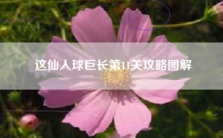 这仙人球巨长第11关攻略图解