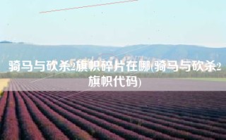 骑马与砍杀2旗帜碎片在哪(骑马与砍杀2旗帜代码)