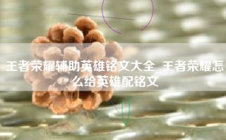 王者荣耀辅助英雄铭文大全_王者荣耀怎么给英雄配铭文