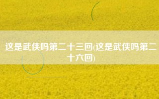 这是武侠吗第二十三回(这是武侠吗第二十六回)