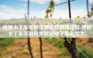 跑跑卡丁车手游佐罗尼欧获得攻略(跑跑卡丁车手游佐罗欧尼帽子怎么变大)