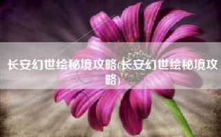 长安幻世绘秘境攻略(长安幻世绘秘境攻略)