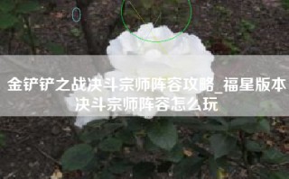 金铲铲之战决斗宗师阵容攻略_福星版本决斗宗师阵容怎么玩