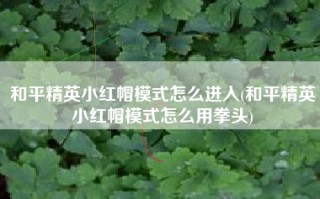 和平精英小红帽模式怎么进入(和平精英小红帽模式怎么用拳头)