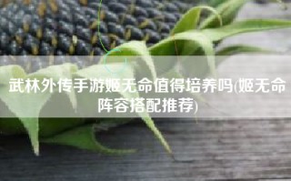 武林外传手游姬无命值得培养吗(姬无命阵容搭配推荐)