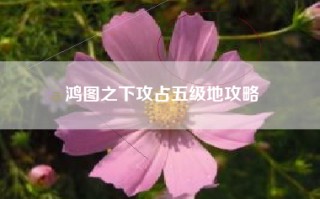 鸿图之下攻占五级地攻略