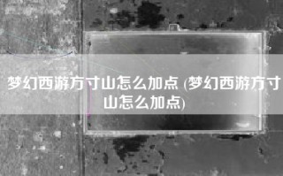 梦幻西游方寸山怎么加点 (梦幻西游方寸山怎么加点)