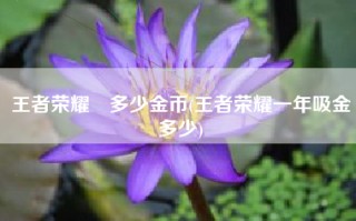 王者荣耀暃多少金币(王者荣耀一年吸金多少)